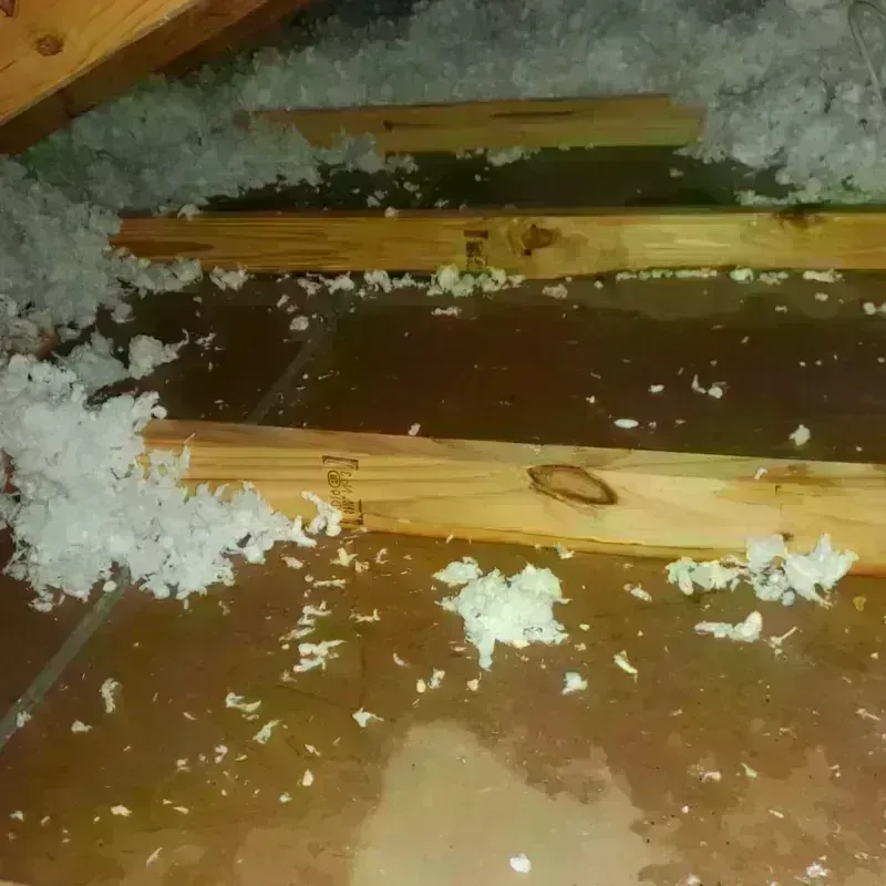 Attic Water Damage in Syracuse, IN