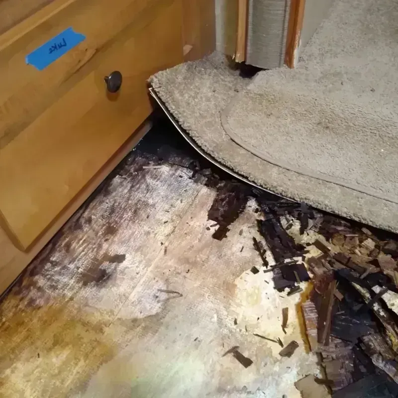 Wood Floor Water Damage in Syracuse, IN